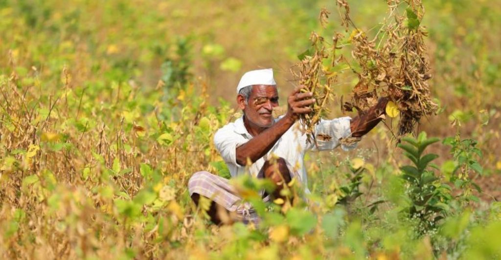 Fleet Management Plants 10,000 Saplings In India To Fight Climate Change