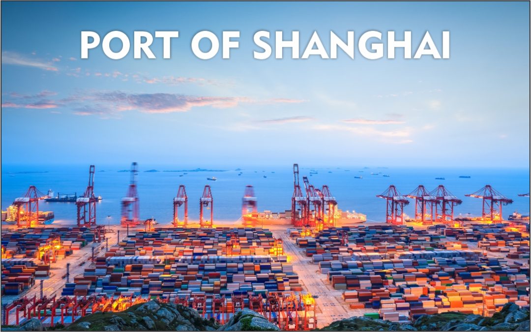 Shanghai Port sees annual container throughput exceed 50 million TEUs