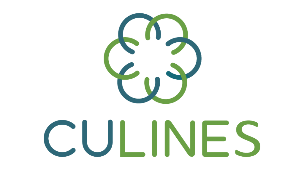 CULines Launching Vietnam-Thailand-Middle East Service