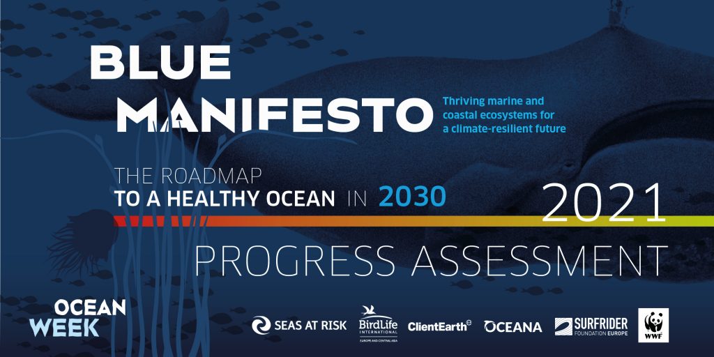 EU Makes Poor Progress On Milestones To Deliver A Healthy Ocean By 2030