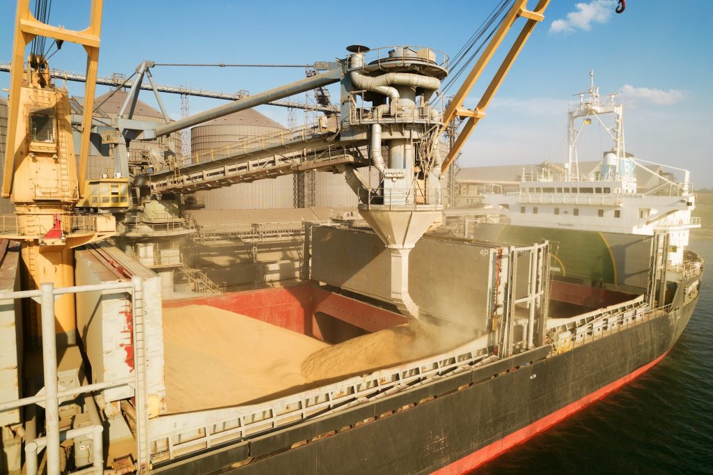 Russia says it will only renew grain deal if its own exports are unblocked