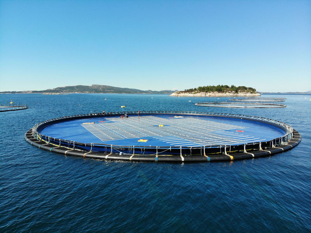 Ocean Sun And Keppel Team Up For Nearshore Floating Solar Project In Singapore