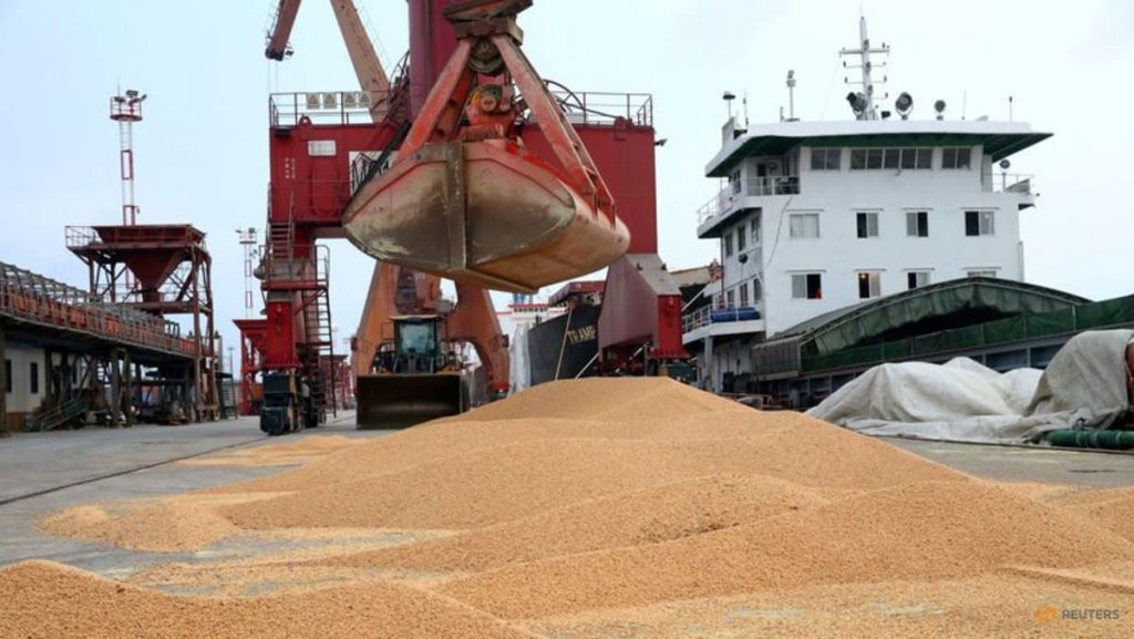 China’s July Soybean Imports Slide Amid Poor Crush Margins, Weaker Demand