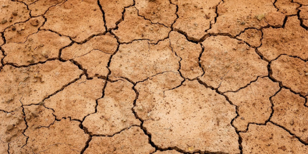 Nearly Two-Thirds Of Europe Facing Drought Or Drought Risk