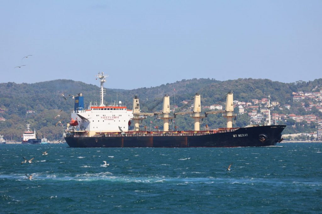 Ukraine’s dry bulk exports have plunged 77.8% during one year of war