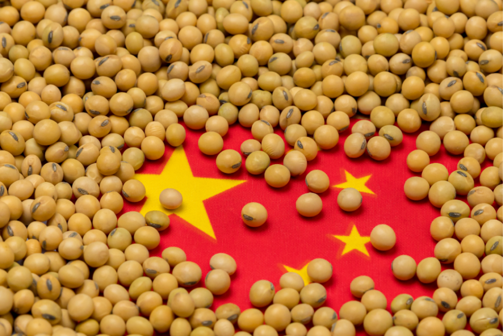 China Soybean Imports Drop 6.2% y/d, Potential Short-Term Recovery Ahead