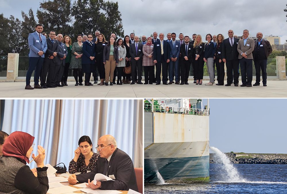 Supporting ballast water management in the Mediterranean Sea