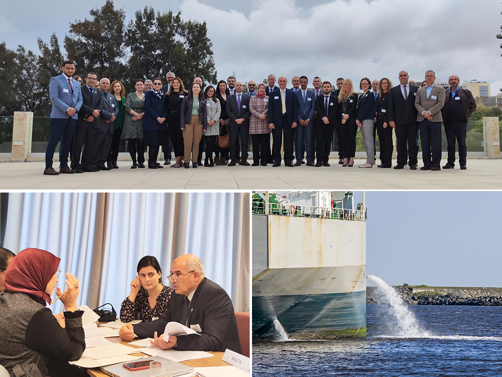 Supporting ballast water management in the Mediterranean Sea