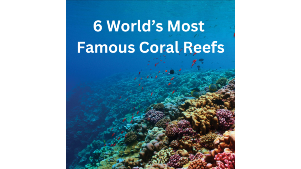 6 World’s Most Famous Coral Reefs