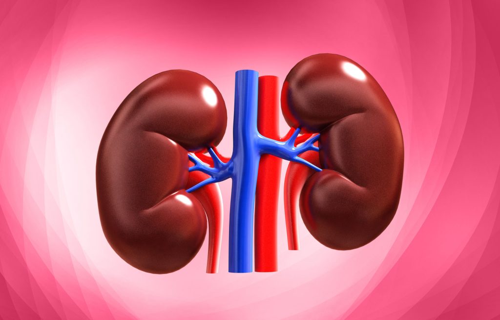 Woman’s healthy kidney removed in Rajasthan hospital