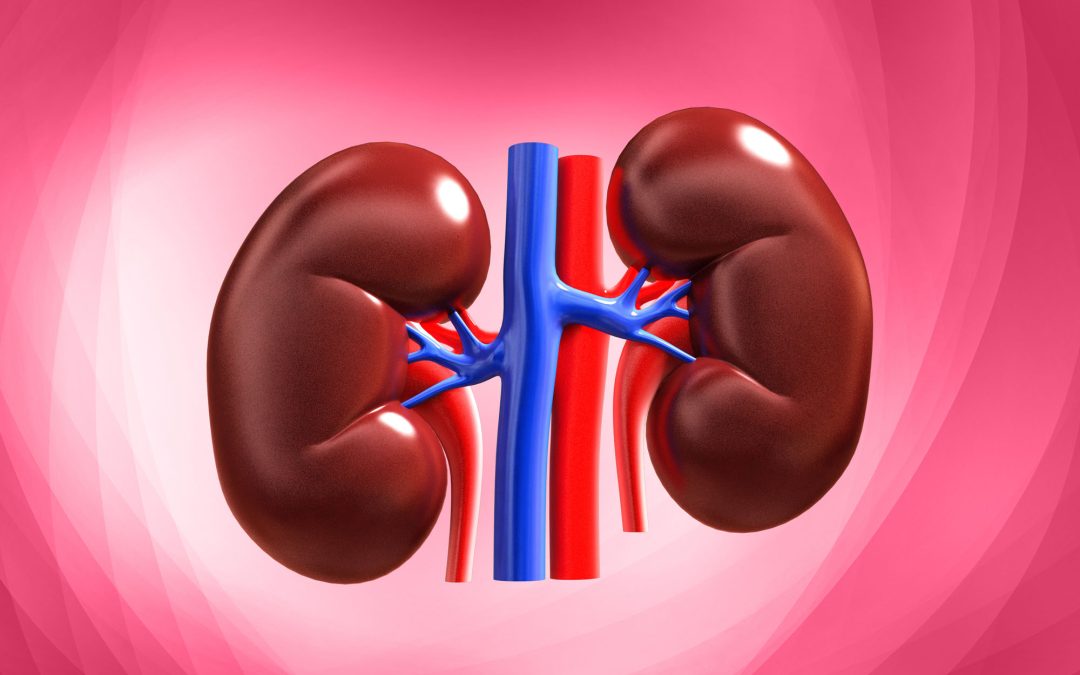 Woman’s healthy kidney removed in Rajasthan hospital