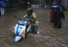 World Bank Officials Visited Sangli, Miraj And Kupwad Municipal Corporation Areas Affected By Floods