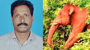 Villagers Block Road in Wayanad, Kerala, Seeking Justice for Elephant Attack Victim