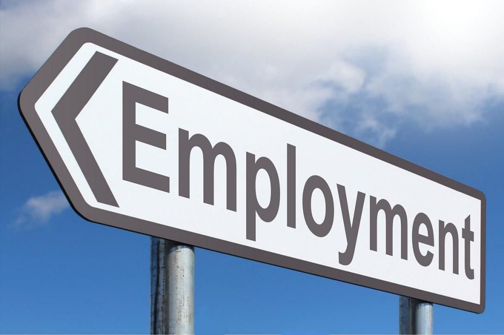 Government to Establish Centralized Jobs Database