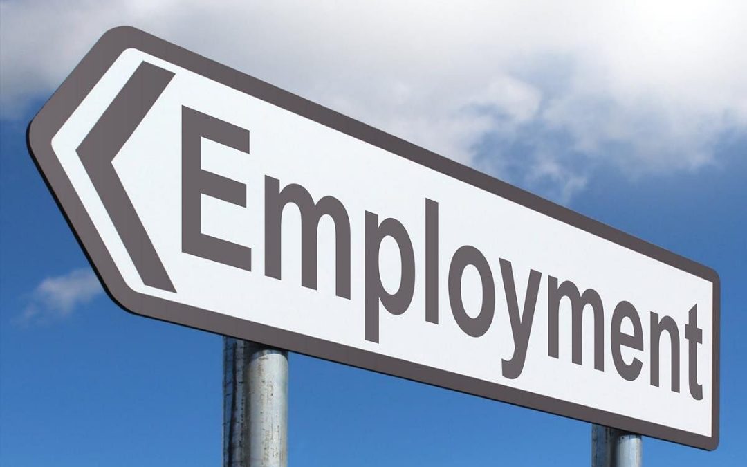 Government to Establish Centralized Jobs Database