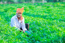 Bhuse: Over 5 Lakh Farmers to Receive ₹853 Crore for Crop Damage by Mid-July