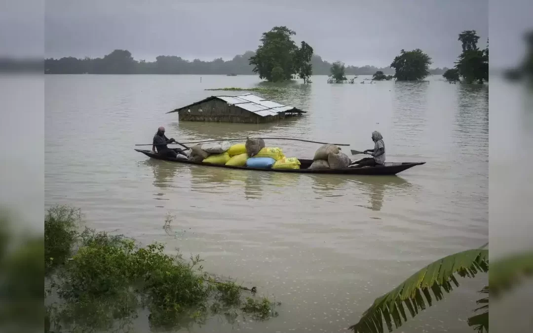 Nagaland Reports Massive Landslide Triggered by Heavy Rain