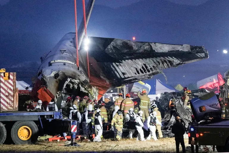 What Caused the Jeju Air Plane Crash in South Korea?