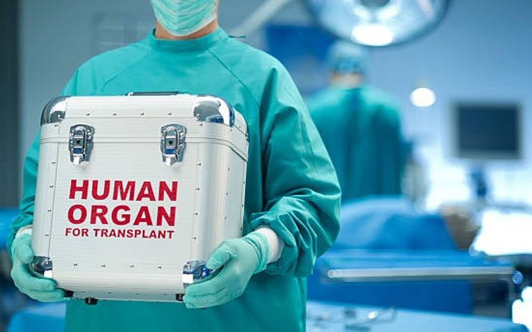 Brain-Dead Man’s Organs Airlifted to Jaipur and Jodhpur, Saving Six Lives