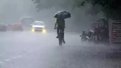 Bengaluru and Surrounding Districts to Face Heavy Rainfall for Next Two Days: IMD