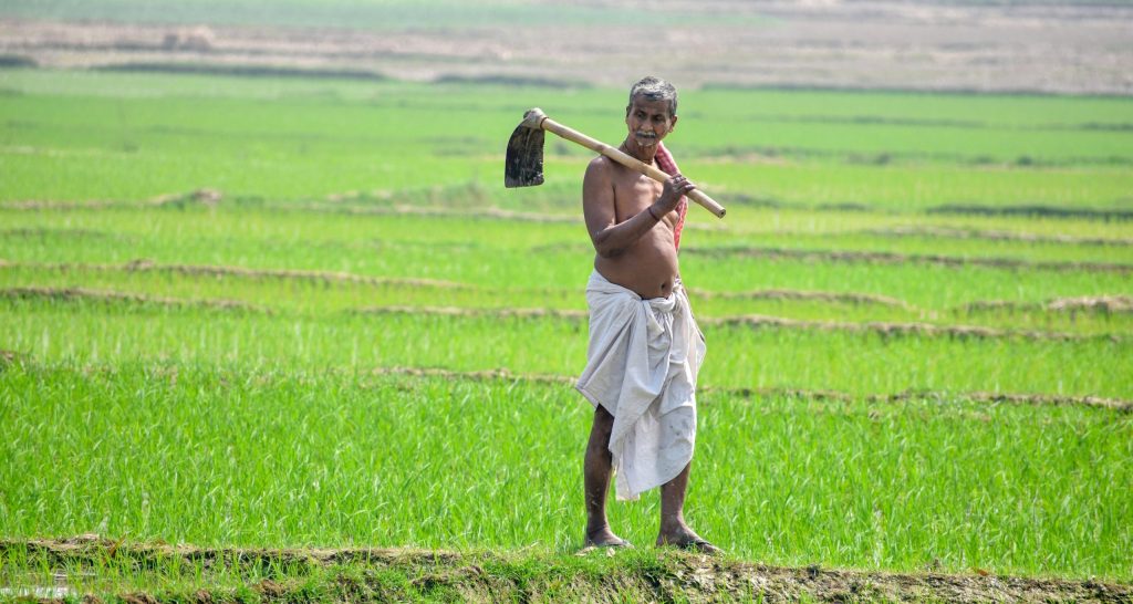 Govt’s Draft Policy Aims to Create Unified National Agriculture Market