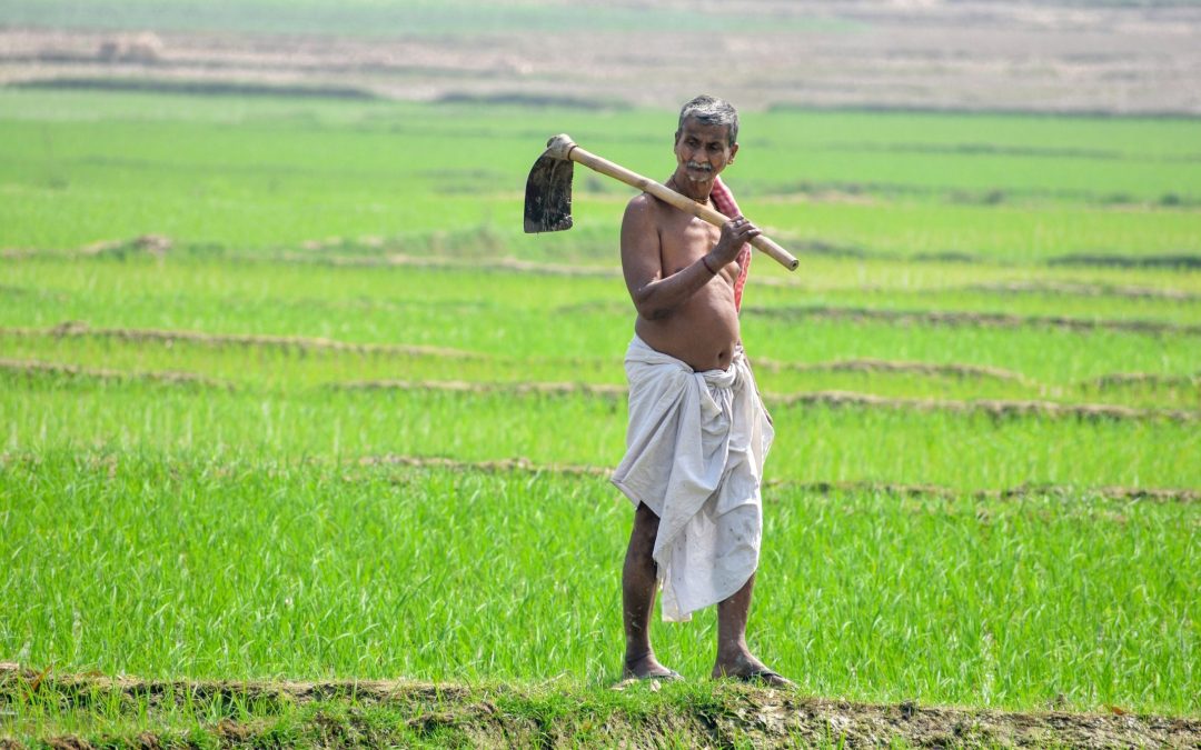 Govt’s Draft Policy Aims to Create Unified National Agriculture Market