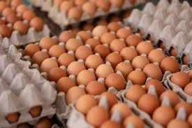 US: Thieves Steal 100,000 Eggs Worth $40,000 in Pennsylvania Amid Nationwide Shortage