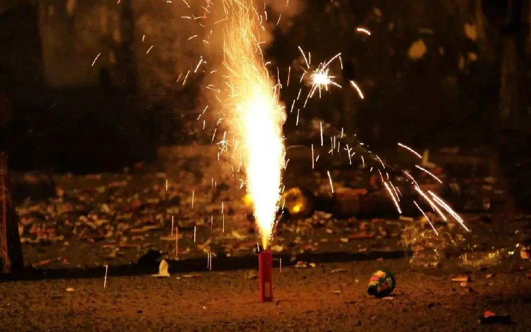 Three Women Killed in Firecracker Godown Explosion in Tamil Nadu